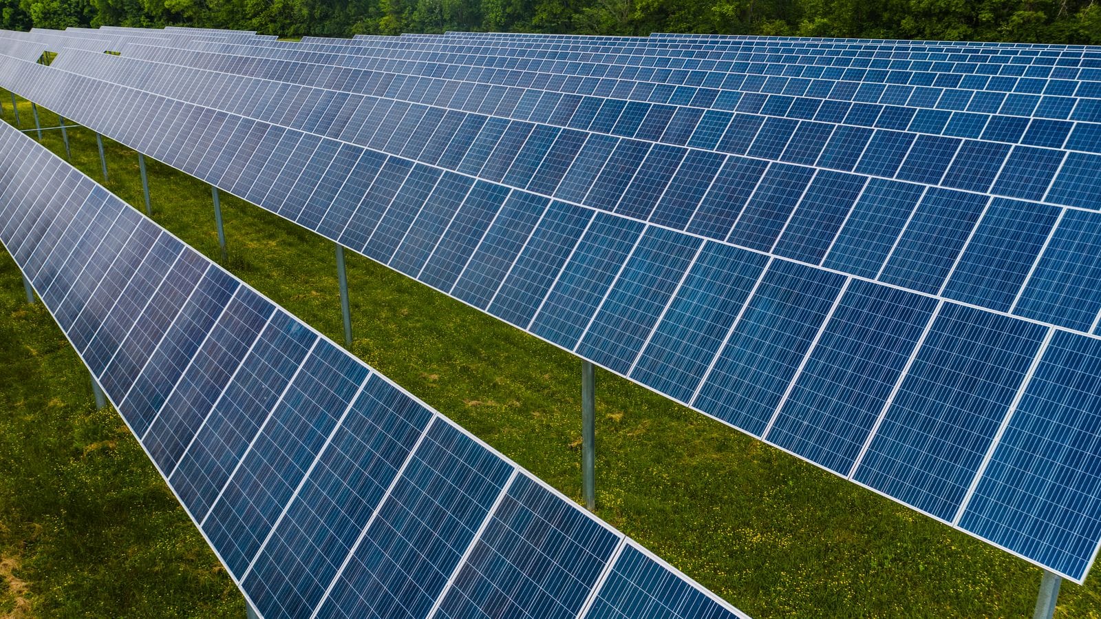Long rows of blue solar panels mounted on posts across a grassy field