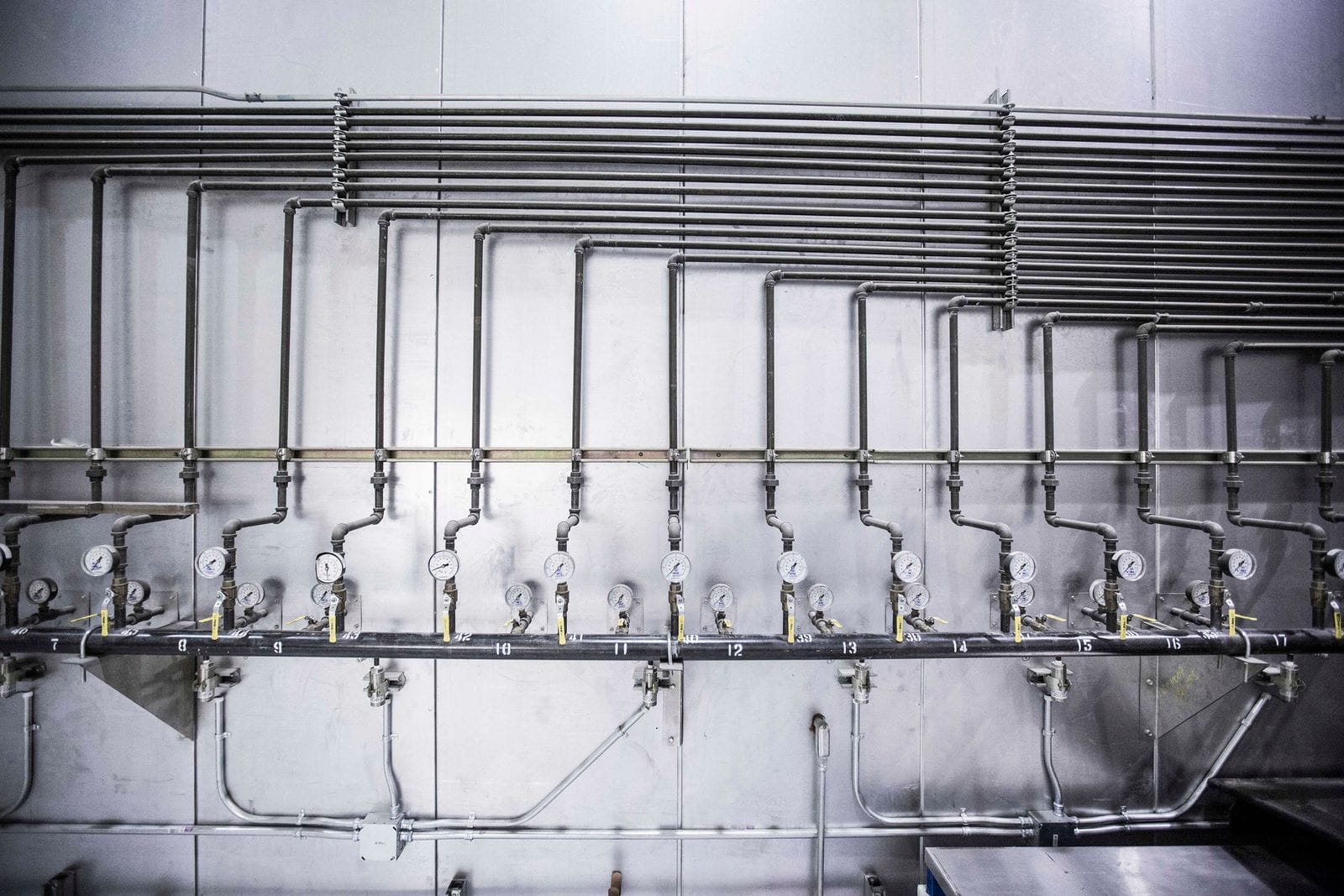 Row of pressure gauges on stainless steel tubing branching from a header along a wall